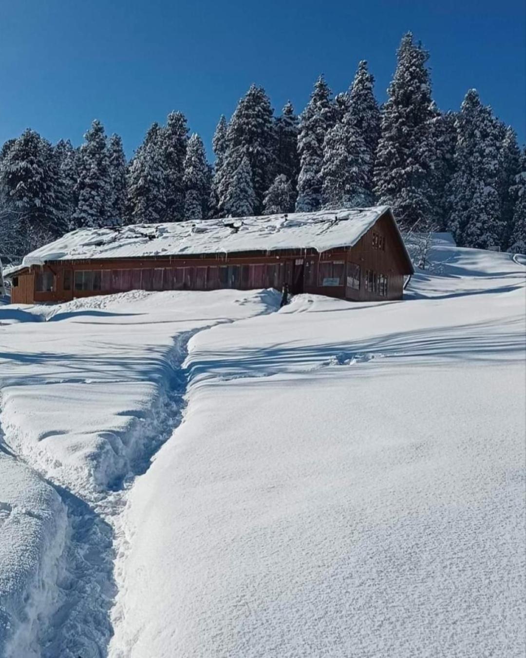 Roseland Cottage , Gulmarg Kültér fotó